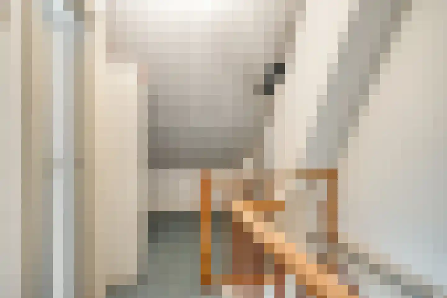 Aart van der Leeuwstraat 17 Hengelo thumbnail 32