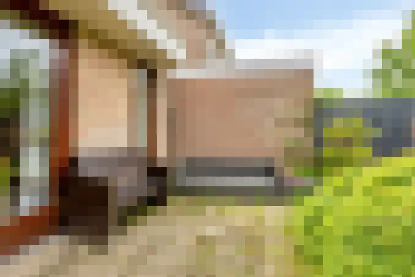 Aart van der Leeuwstraat 17 Hengelo thumbnail 37
