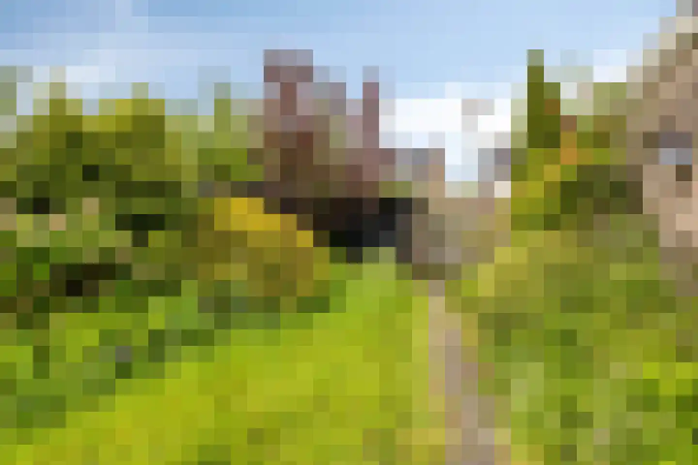 Aart van der Leeuwstraat 17 Hengelo thumbnail 38