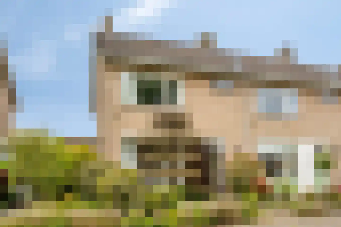 Aart van der Leeuwstraat 17 Hengelo thumbnail 5