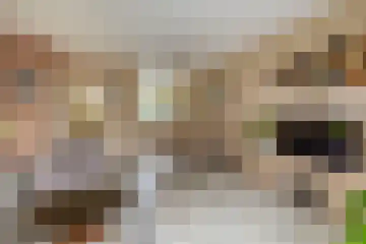 Aart van der Leeuwstraat 19 Rotterdam thumbnail 10
