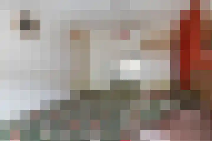 Aart van der Leeuwstraat 19 Rotterdam thumbnail 21
