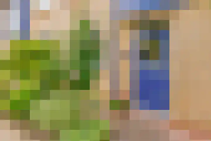 Aart van der Leeuwstraat 19 Rotterdam thumbnail 5