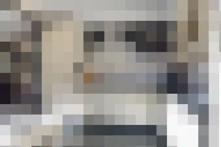Aart van der Leeuwstraat 20 Hengelo thumbnail 17