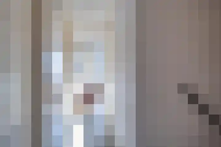 Aart van der Leeuwstraat 20 Hengelo thumbnail 19