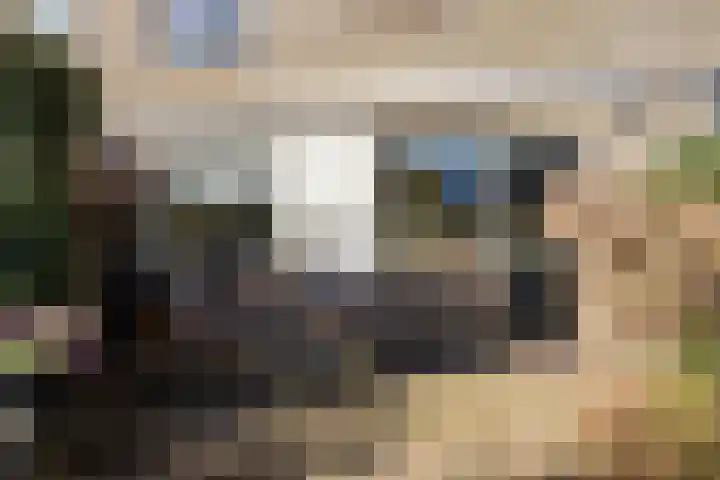 Aart van der Leeuwstraat 20 Hengelo thumbnail 30