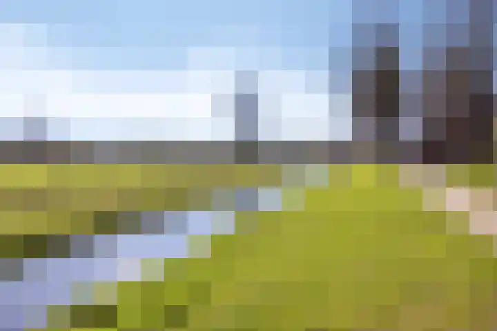 Aart van der Leeuwstraat 20 Hengelo thumbnail 35