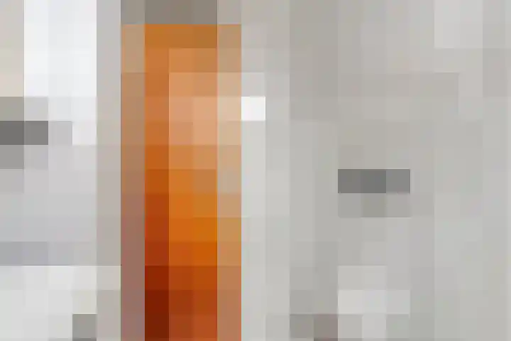 Aart van der Leeuwstraat 21 Hengelo thumbnail 20