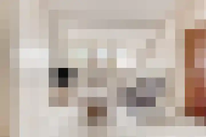 Aart van der Leeuwstraat 21 Hengelo thumbnail 25