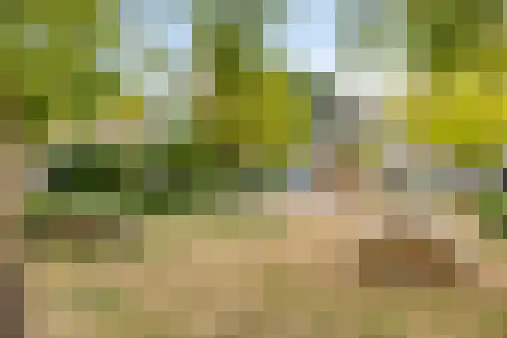 Aart van der Leeuwstraat 21 Hengelo thumbnail 32
