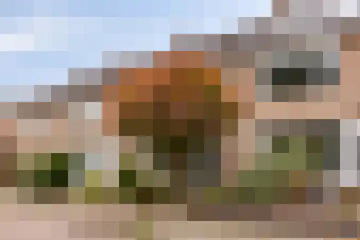Aart van der Leeuwstraat 21 Hengelo thumbnail 4