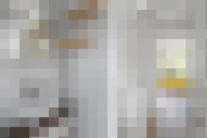 Aart van der Leeuwstraat 26 Amsterdam thumbnail 19