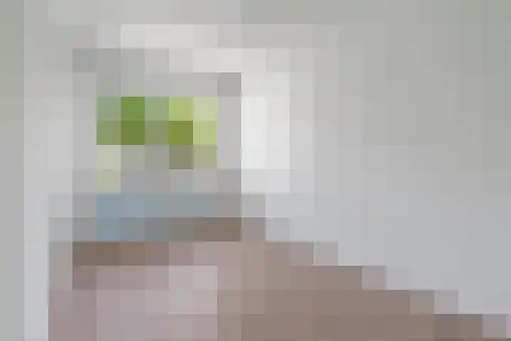 Aart van der Leeuwstraat 26 Amsterdam thumbnail 24