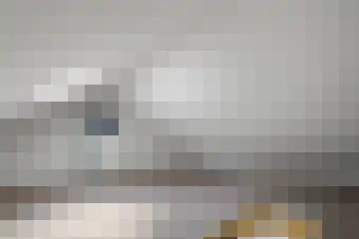 Aart van der Leeuwstraat 26 Amsterdam thumbnail 27