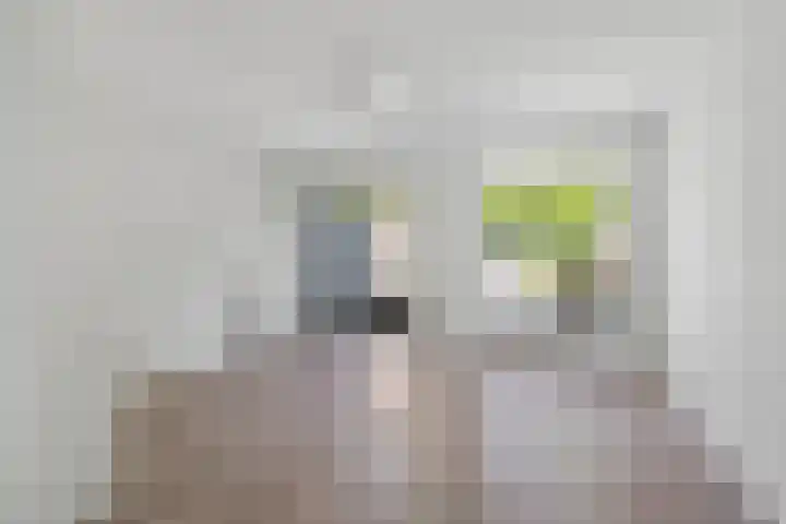Aart van der Leeuwstraat 26 Amsterdam thumbnail 8