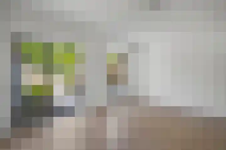 Aart van der Leeuwstraat 26 Amsterdam thumbnail 9