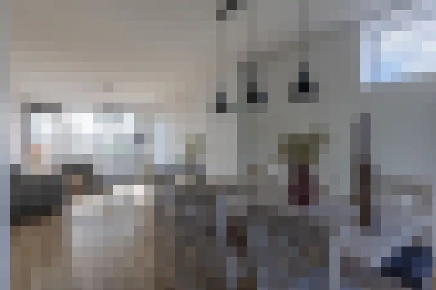 Aart van der Leeuwstraat 37 Weesp thumbnail 8