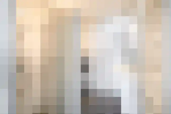 Aart van der Leeuwstraat 7 Wageningen thumbnail 16