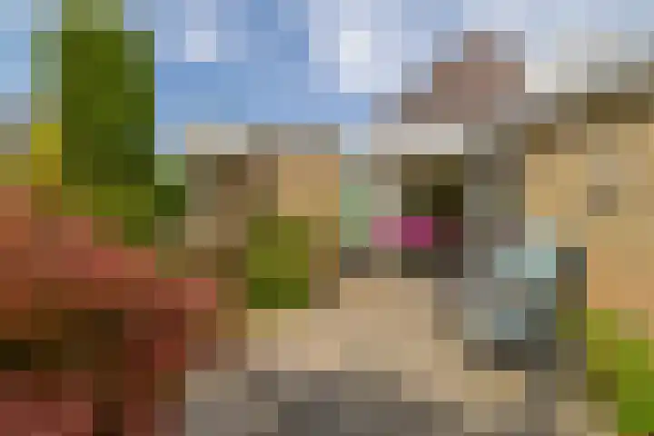 Aart van der Leeuwstraat 7 Wageningen thumbnail 20