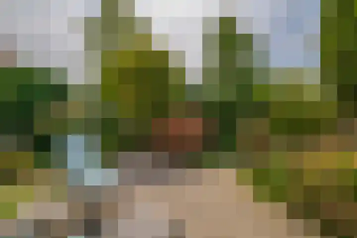 Aart van der Leeuwstraat 7 Wageningen thumbnail 21