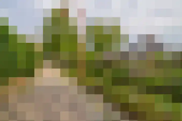 Aart van der Leeuwstraat 7 Wageningen thumbnail 24