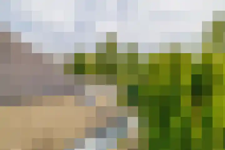 Aart van der Leeuwstraat 7 Wageningen thumbnail 25