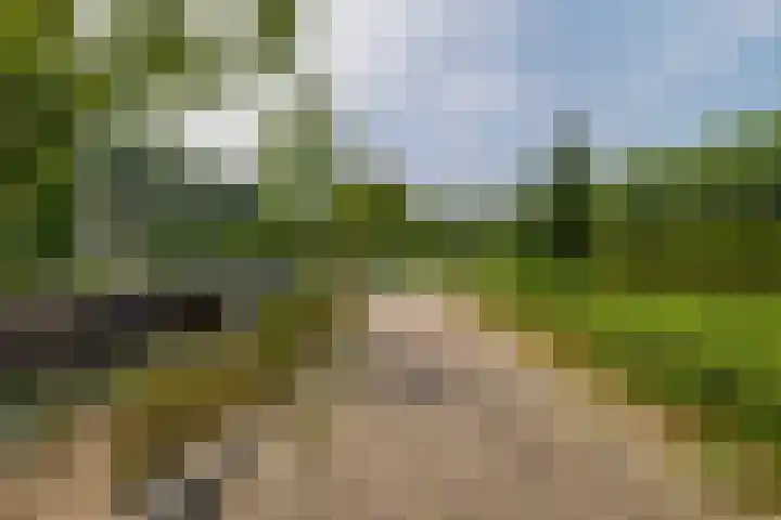 Aart van der Leeuwstraat 7 Wageningen thumbnail 26
