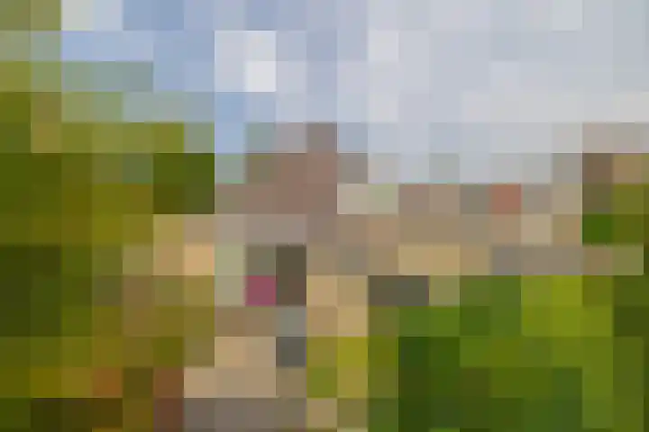 Aart van der Leeuwstraat 7 Wageningen thumbnail 35