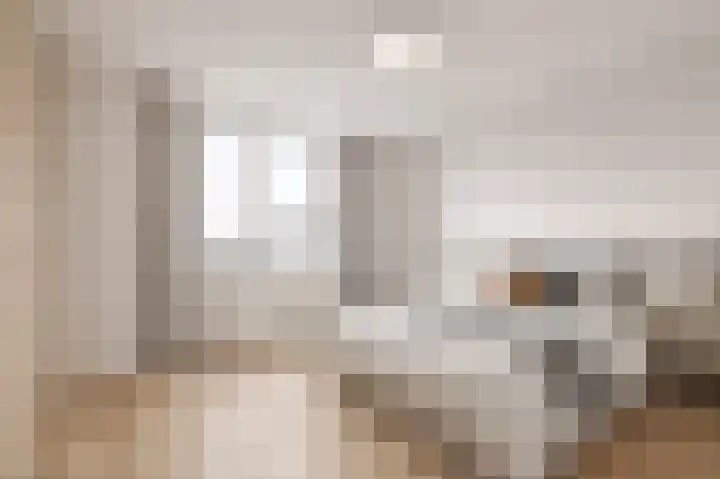 Aart van der Neerweg 12 Ouderkerk aan de Amstel thumbnail 18