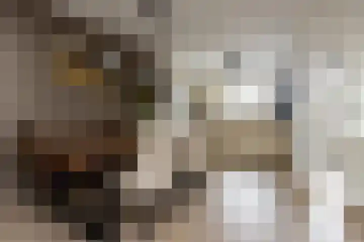 Aart van Osstraat 2 Zuilichem thumbnail 11