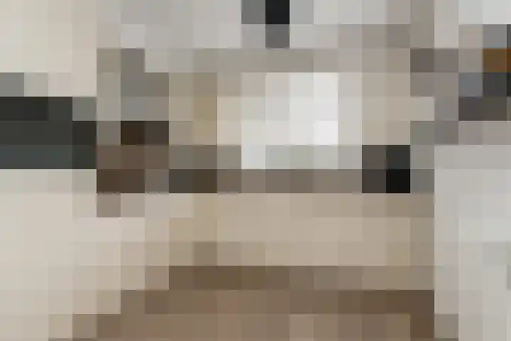 Aart van Osstraat 2 Zuilichem thumbnail 12