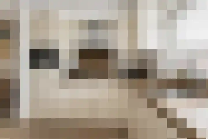 Aart van Osstraat 2 Zuilichem thumbnail 13