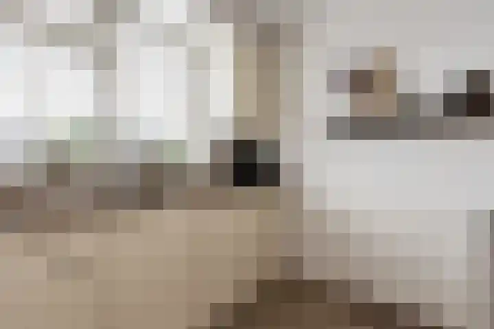 Aart van Osstraat 2 Zuilichem thumbnail 15