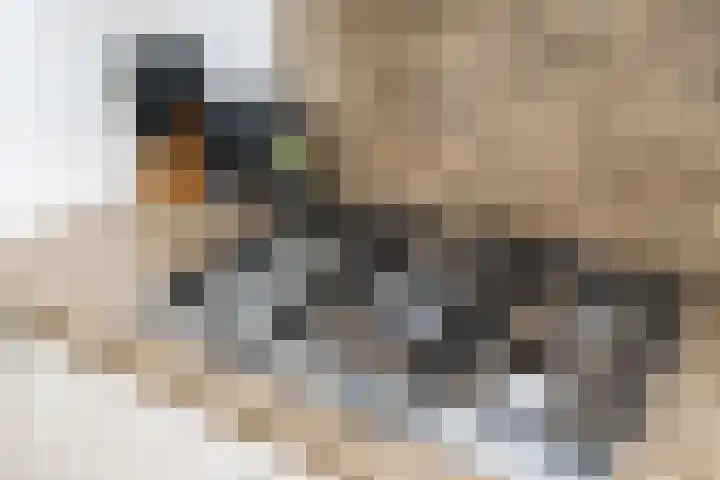 Aart van Osstraat 2 Zuilichem thumbnail 16