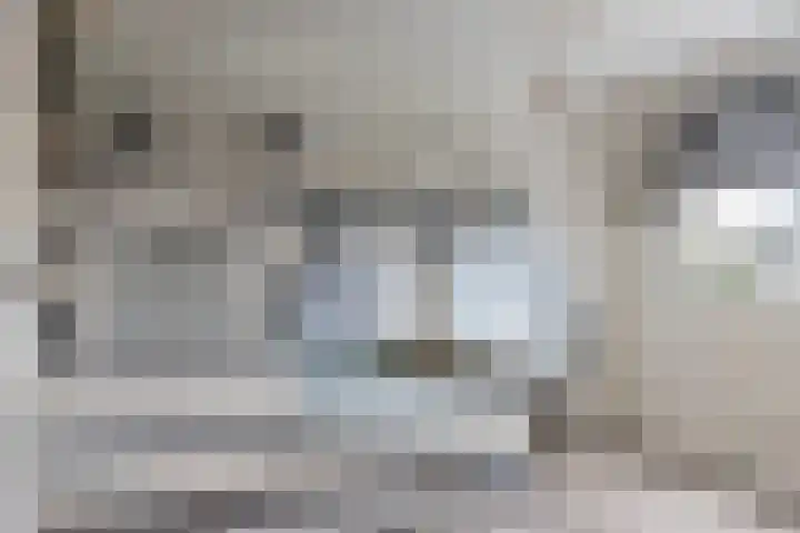 Aart van Osstraat 2 Zuilichem thumbnail 26