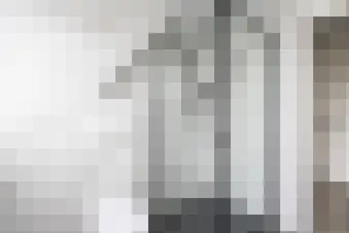 Aart van Osstraat 2 Zuilichem thumbnail 33