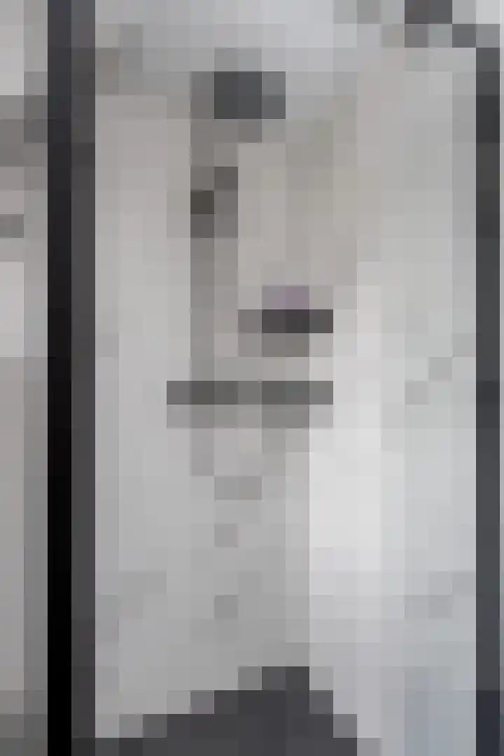 Aart van Osstraat 2 Zuilichem thumbnail 34