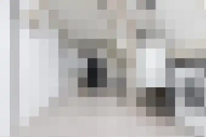 Aart van Osstraat 2 Zuilichem thumbnail 35