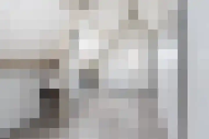 Aart van Osstraat 2 Zuilichem thumbnail 36