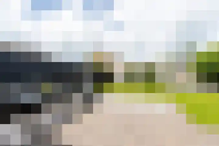 Aart van Osstraat 2 Zuilichem thumbnail 39