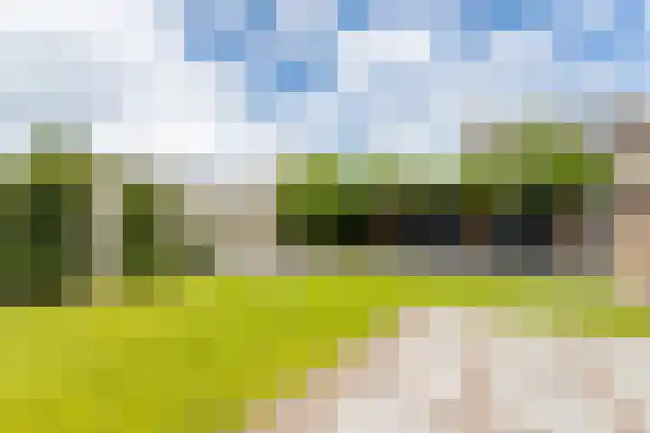 Aart van Osstraat 2 Zuilichem thumbnail 4