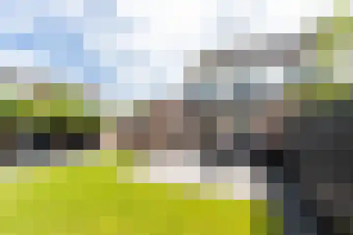 Aart van Osstraat 2 Zuilichem thumbnail 43