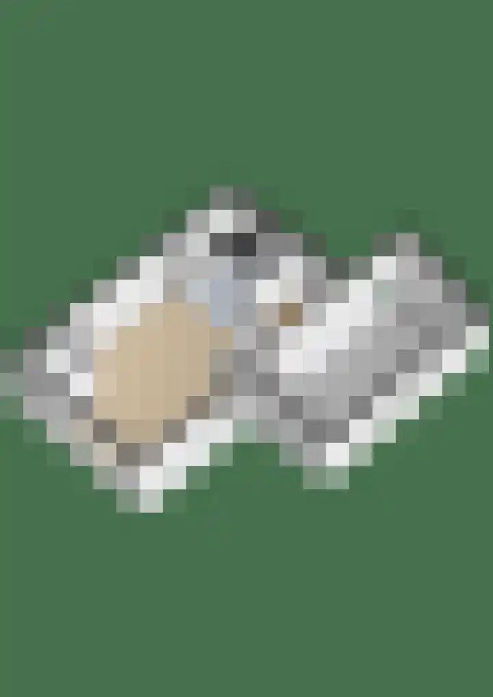 Aart van Osstraat 2 Zuilichem thumbnail 50