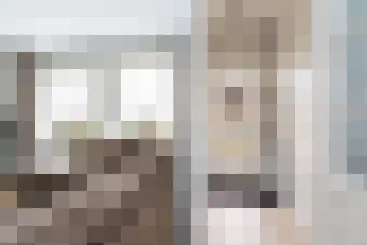 Aart van Osstraat 2 Zuilichem thumbnail 6