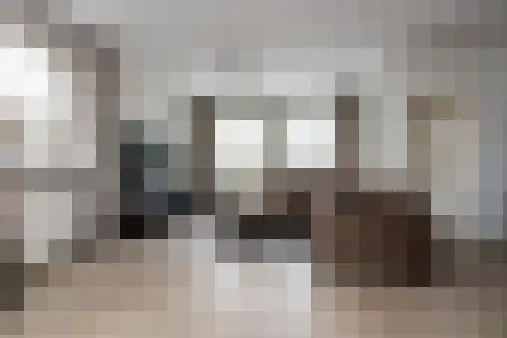 Aart van Osstraat 2 Zuilichem thumbnail 8