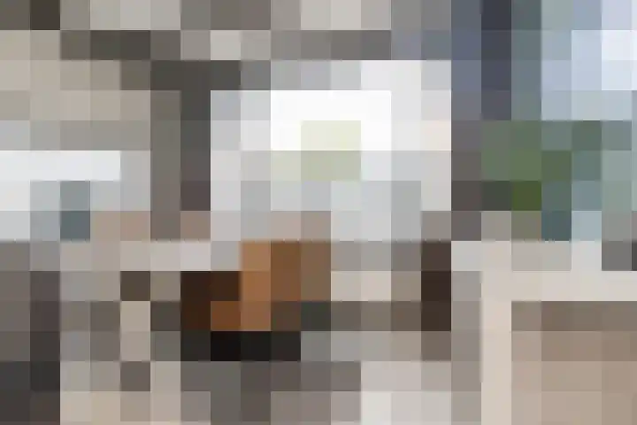 Aart van Osstraat 3 Zuilichem thumbnail 12