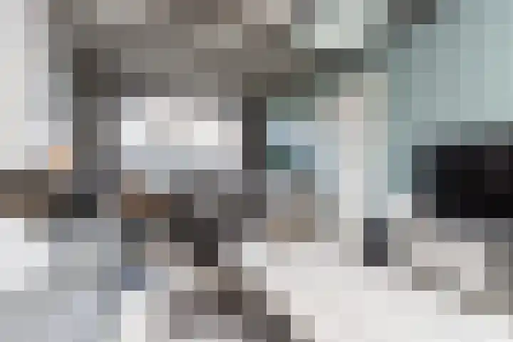 Aart van Osstraat 3 Zuilichem thumbnail 14