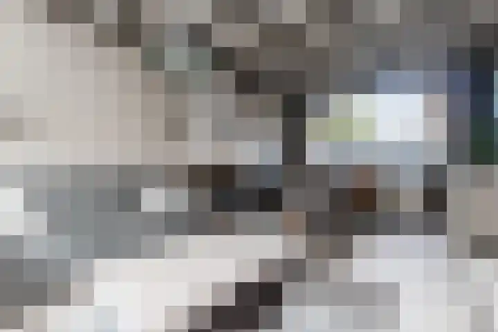Aart van Osstraat 3 Zuilichem thumbnail 15