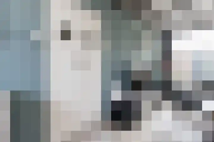 Aart van Osstraat 3 Zuilichem thumbnail 16