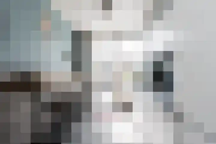 Aart van Osstraat 3 Zuilichem thumbnail 17